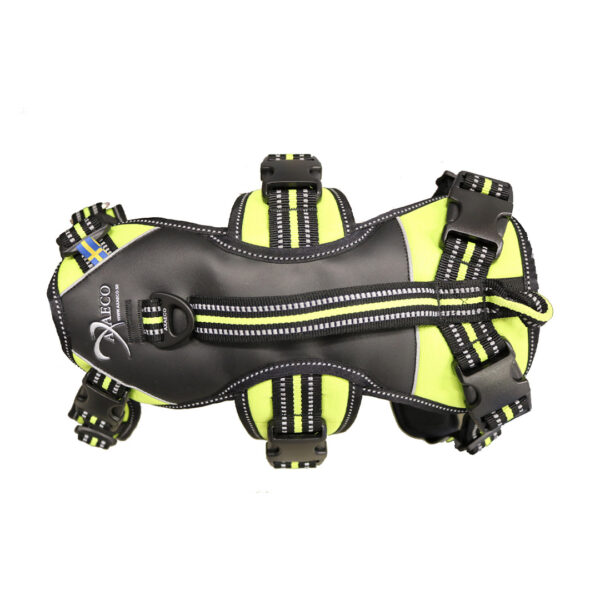 4 Season Broad Peak Harness de Axaeco