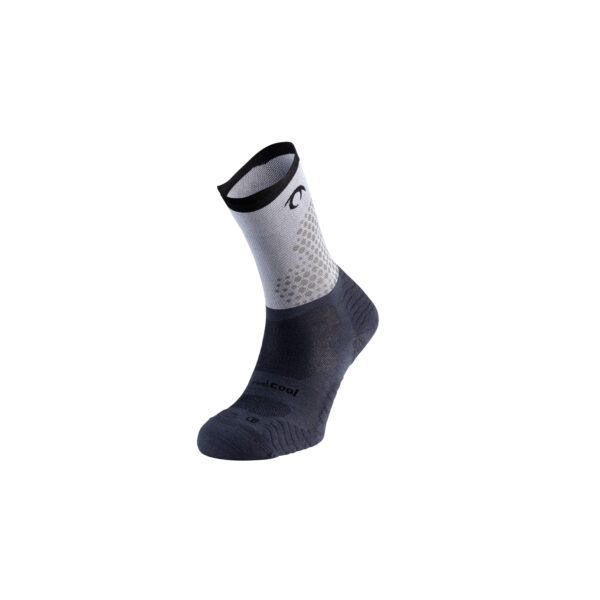 RISE_FLUX_FIVE_00B1_266U_0328_FR