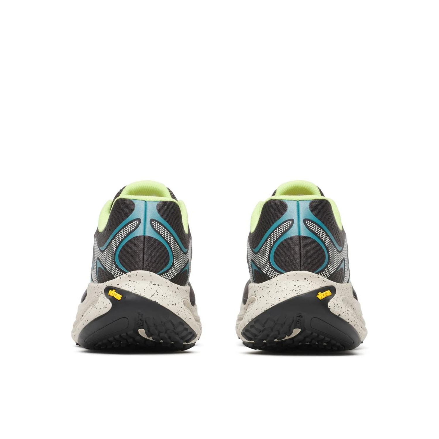 PROMORPH4